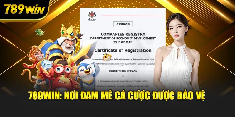 789WIN: Nơi đam mê cá cược được bảo vệ