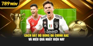 Cách Bắt Độ Bóng Đá Chính Xác Và Hiệu Quả Nhất Hiện Nay
