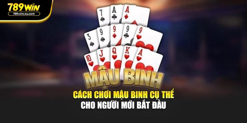 Cách Chơi Mậu Binh Cụ Thể Cho Người Mới Bắt Đầu