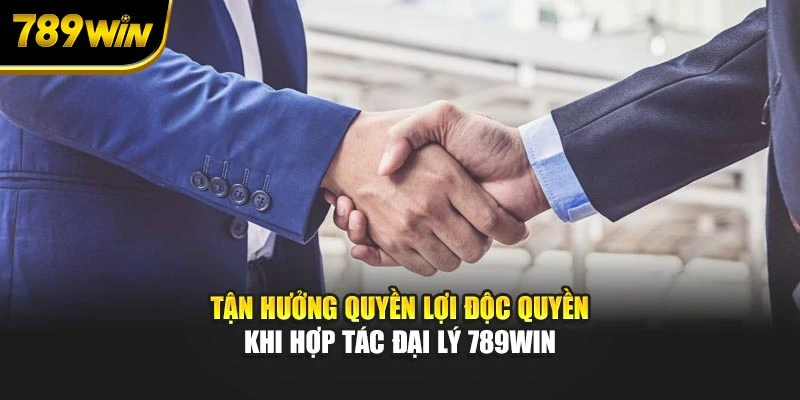 Tận hưởng quyền lợi độc quyền khi đồng hành đại lý 789WIN